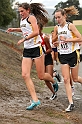 2010NCSXC GD1-1224